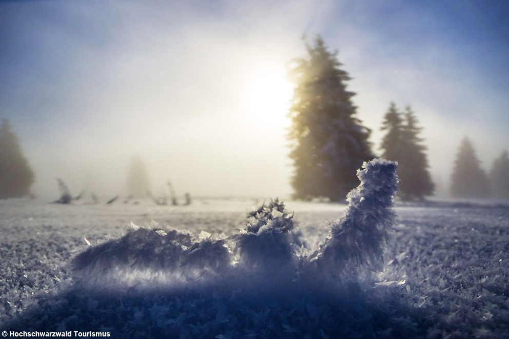 La magia del gelido inverno in Baden-Württemberg: escursioni nel sentiero dei cacciatori dell’era glaciale e paesaggi da favola