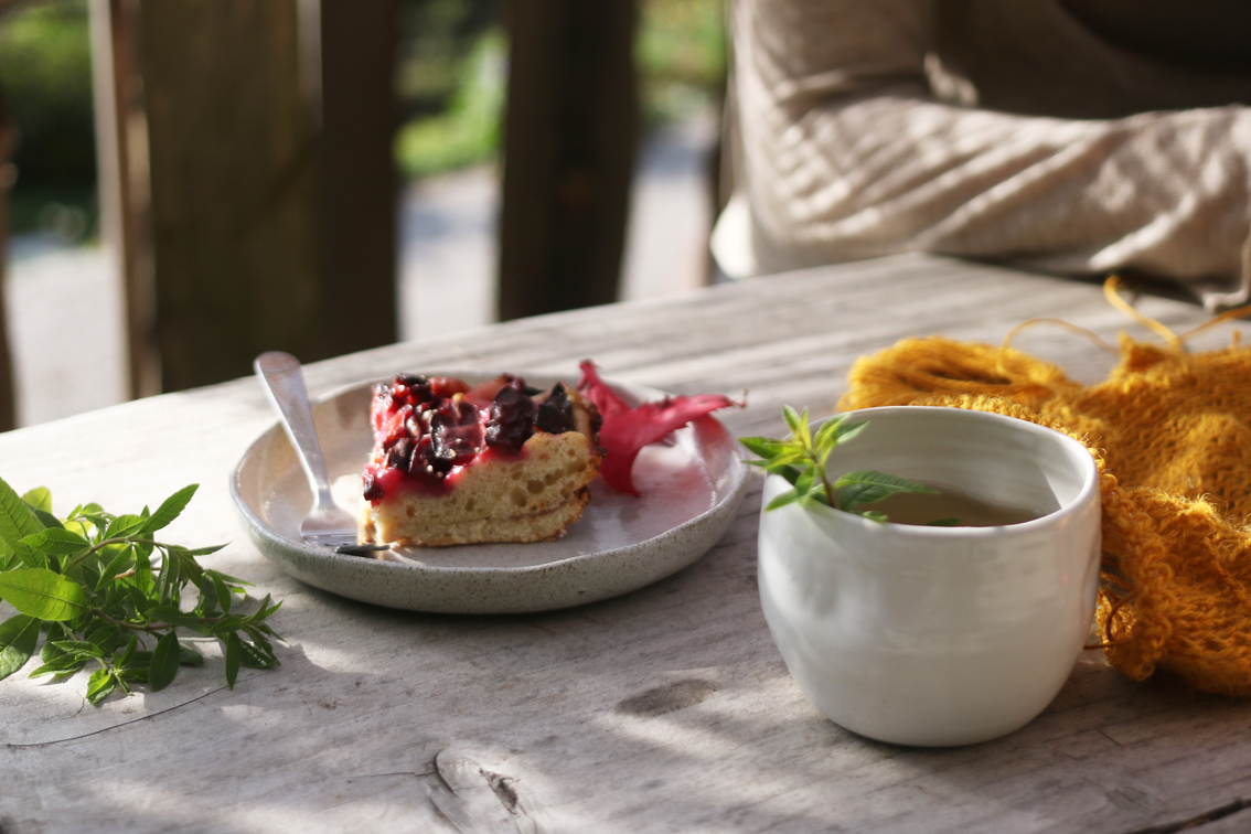 Estate: torta di prugne austriaca