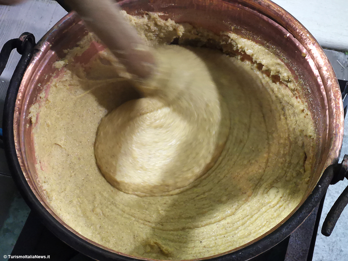 Col Mays ottofile di Roccacontrada il gusto della polenta ci guadagna: ad Arcevia (Alte Marche) l'esperienza di una coltura ritrovata