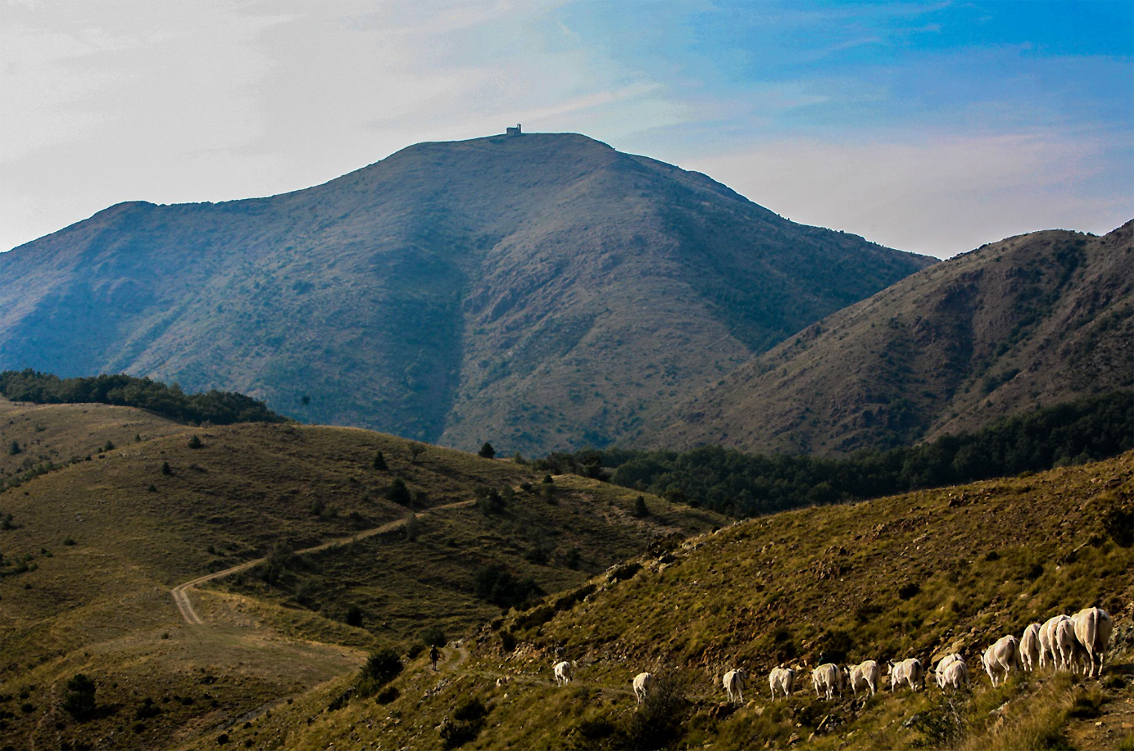 Quel Monferrato che non ti aspetti, tra cerca del nobile metallo, trekking, equitazione e luoghi incontaminati (Apap)