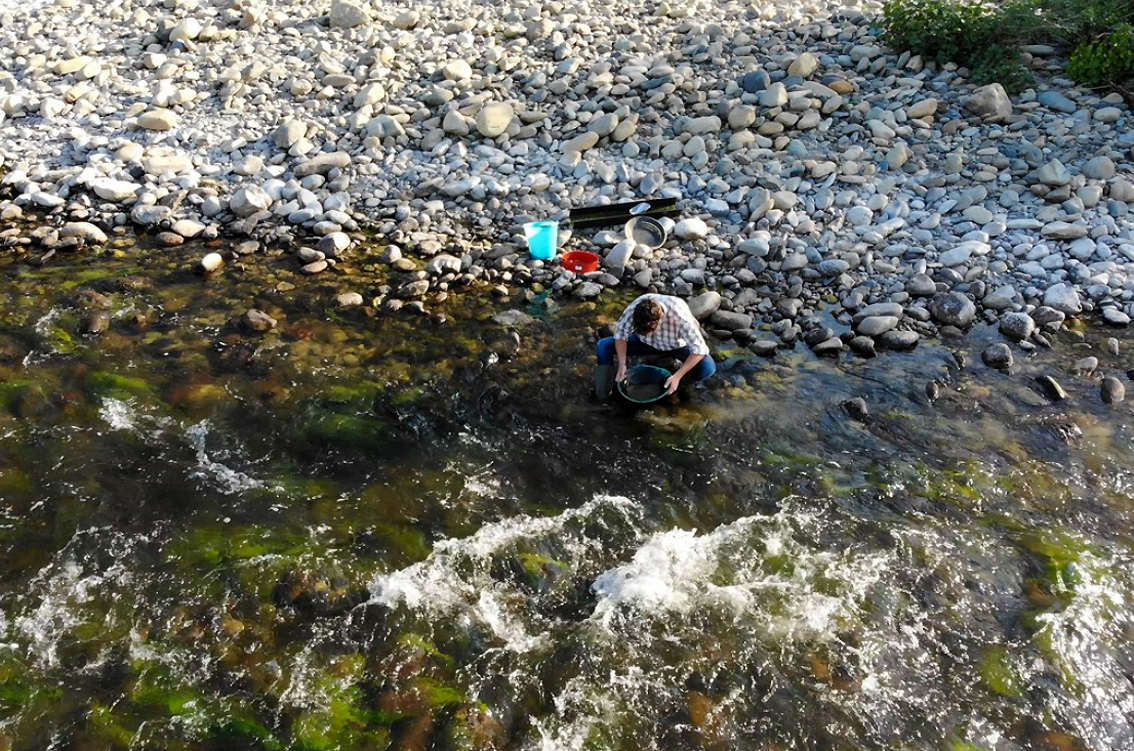 Quel Monferrato che non ti aspetti, tra cerca del nobile metallo, trekking, equitazione e luoghi incontaminati