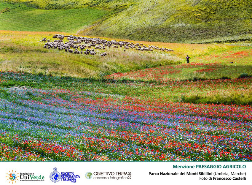 La foto di Francesco Castelli