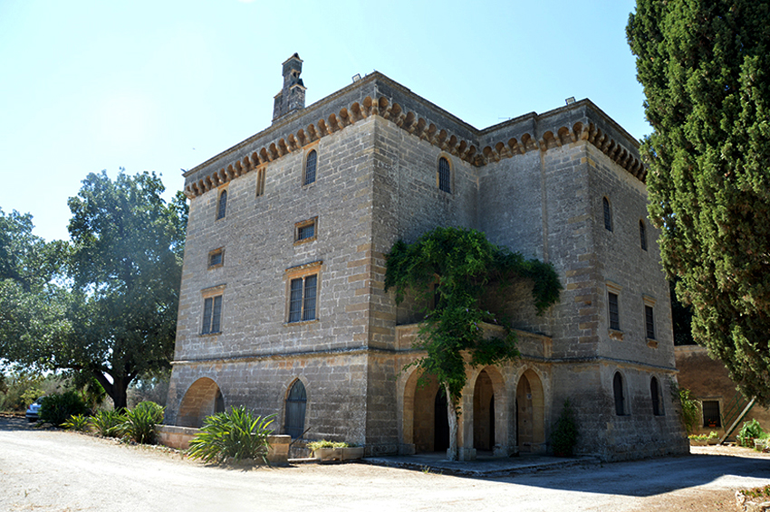 Brillano al sole i grappoli dorati di Fiano: nel Salento le prime vendemmie d’Italia, dove nasce il SelvaOro di Cantine Due Palme
