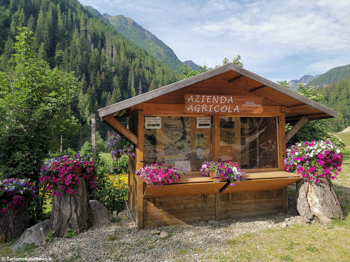 Il Giardino dei Sensi dell’azienda agricola di Olga Casanova
