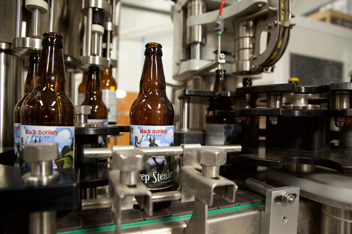 Caccia al lievito selvatico nelle terre più remote d'Irlanda: è l’ingrediente chiave della birra Underworld Savage Ale del Black Donkey Brewing