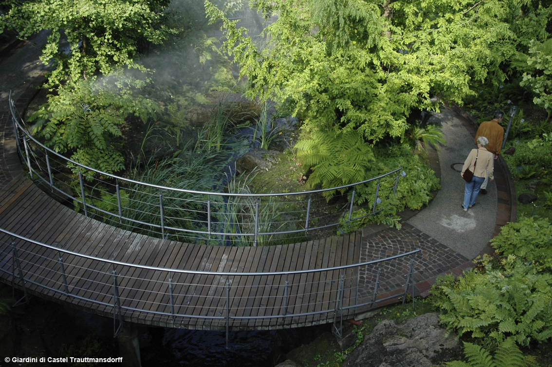 I fossili viventi nella Valle delle Felci: piante undying ai Giardini di Castel Trauttmansdorff a Merano