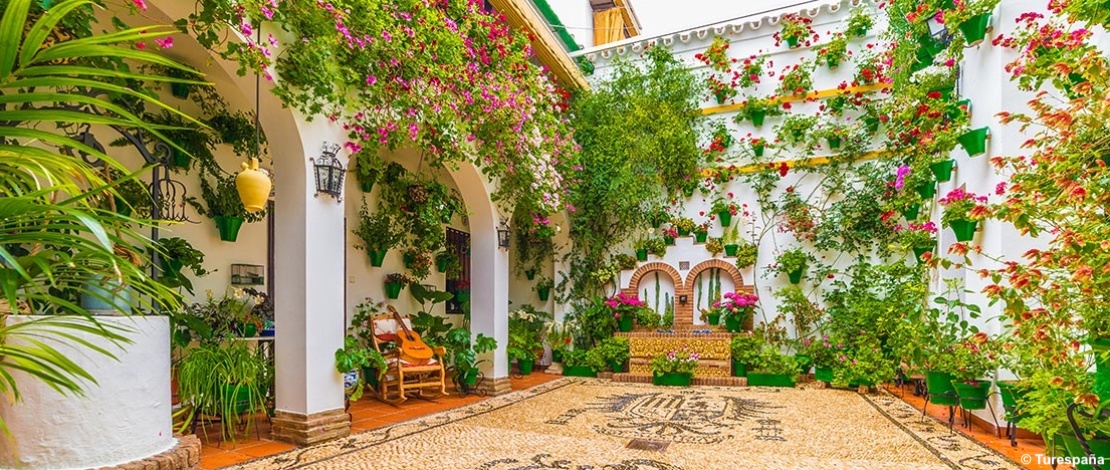 A Cordoba cortili in fiore