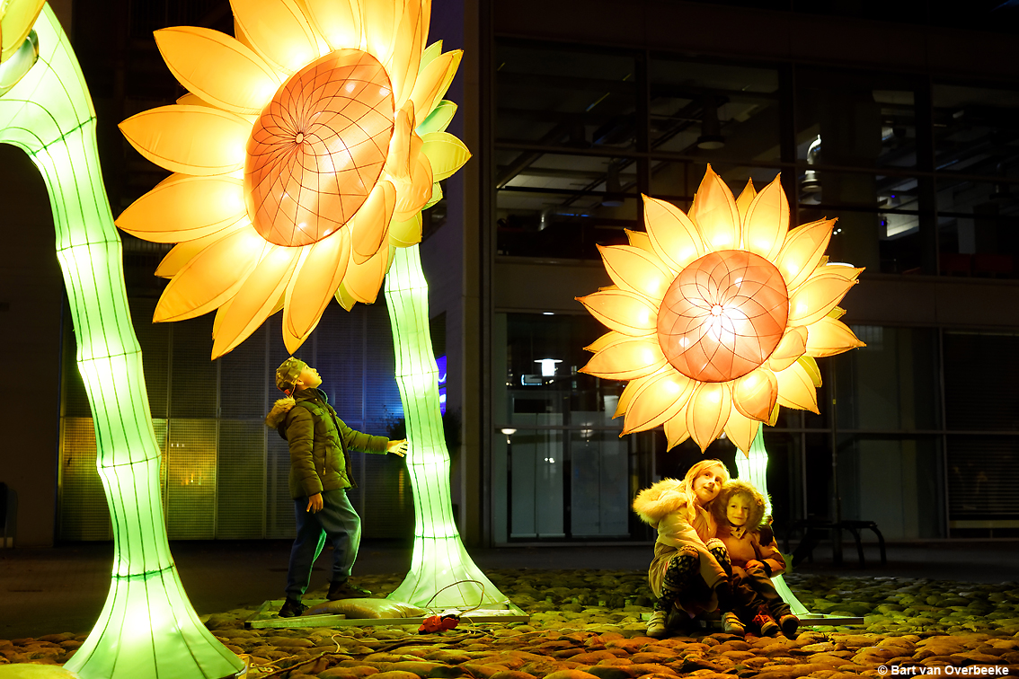Glow 2021, più spazio per la light art: al Festival delle luci magnifiche installazioni luminose decorano Eindhoven