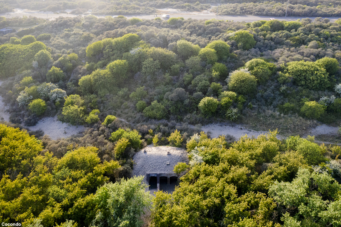 Bunker trasformati in alloggi lungo la costa olandese, un soggiorno in mezzo alla natura immersi nella storia
