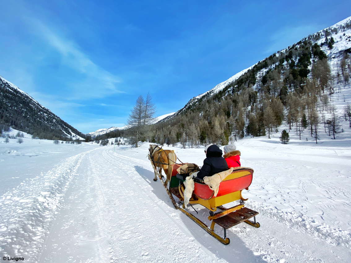 Sci di fondo, ciaspole, fat bike, pattinaggio sul ghiaccio o attività estreme: esperienze sulla neve da non perdere a Livigno