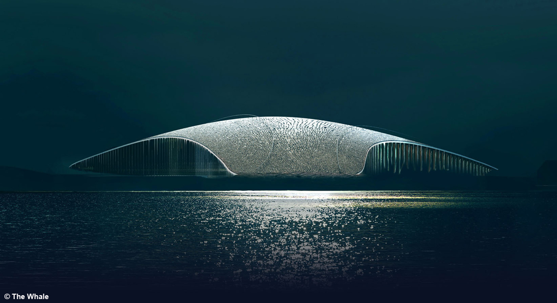 The Whale, ovvero La balena, che sorge dallo straordinario paesaggio delle Vesterålen, nella Norvegia settentrionale