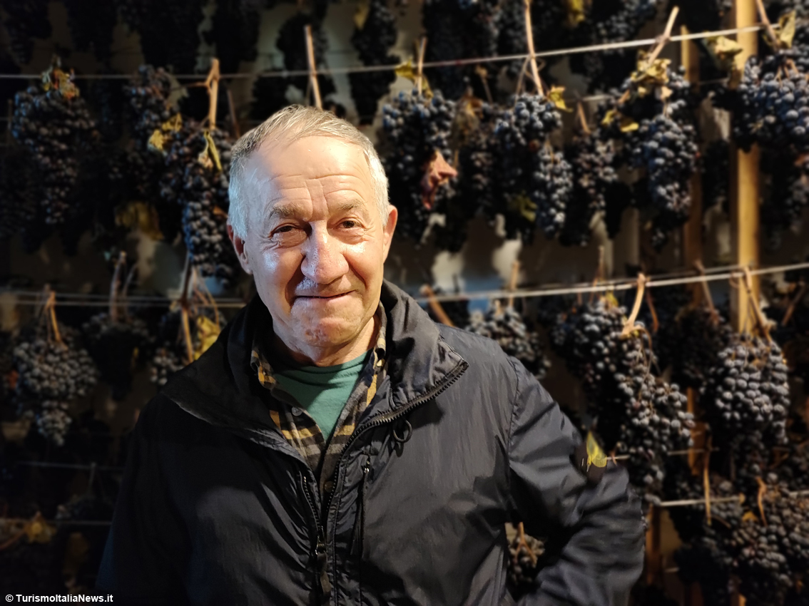 Massimo Serboni, Cantina Serboni