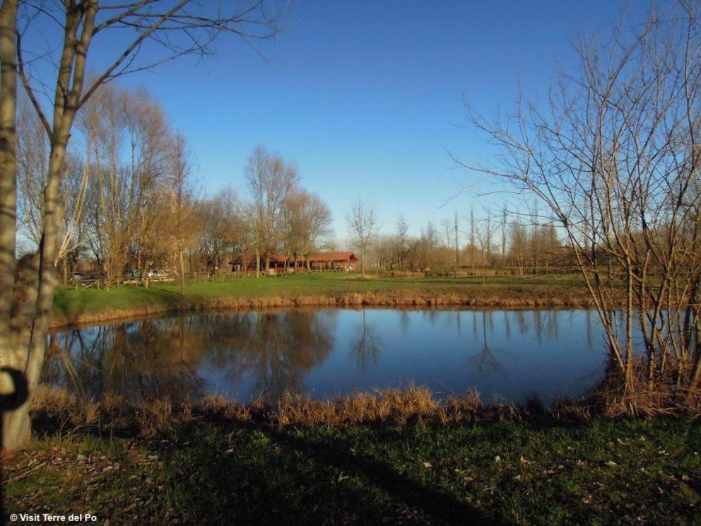 Visit Terre del Po: una app turistica per scoprire in modo innovativo la Bassa Lombardia lungo il fiume Po tra Cremona e Mantov