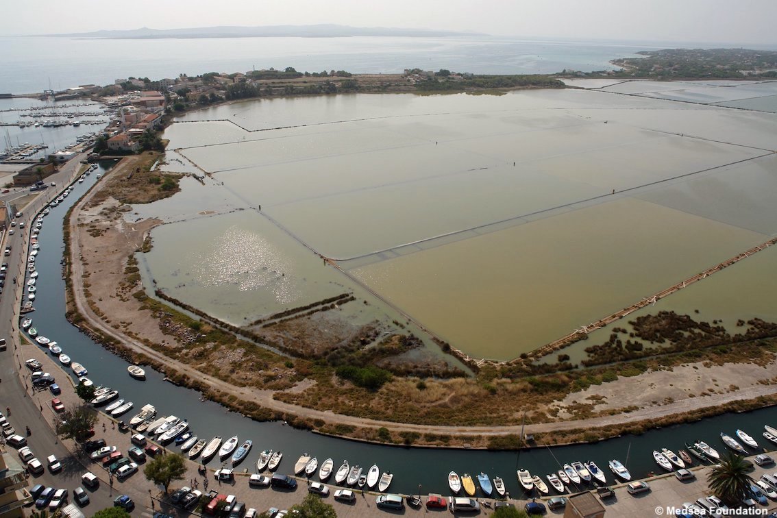 Sardegna: nelle saline di Carloforte un nido artificiale per proteggere gli uccelli migratori, alleanza a tre per tutelarli