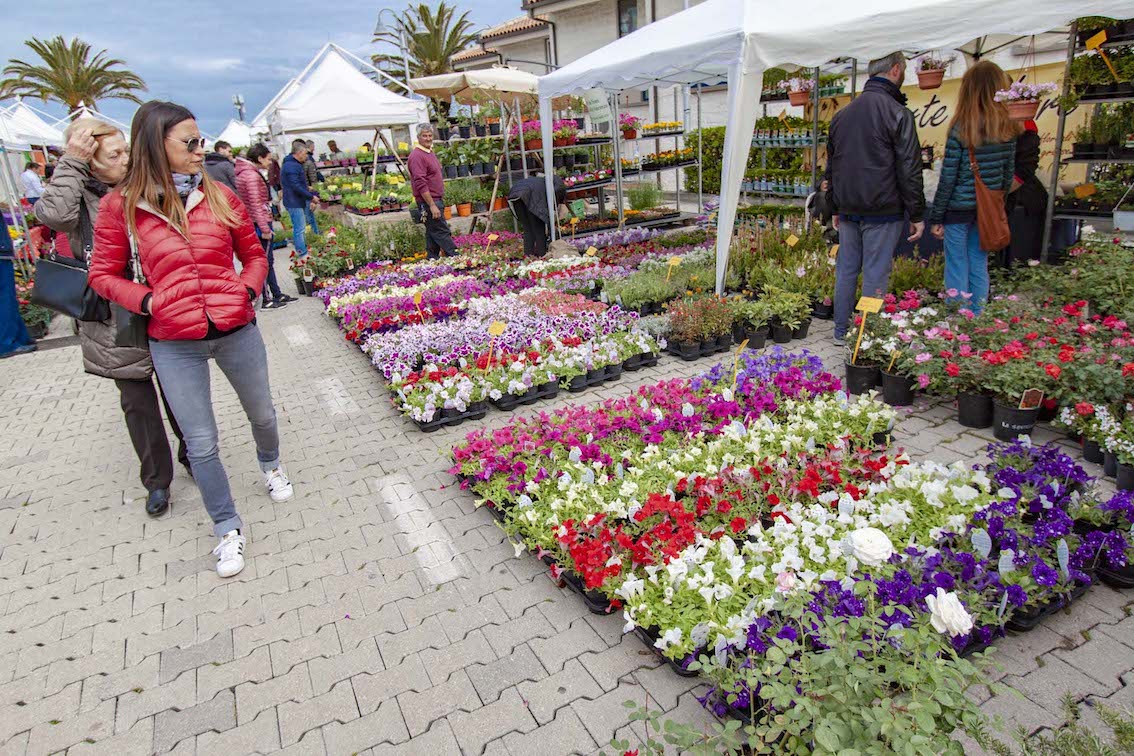 Al porto turistico di Pescara torna la mostra del fiore Florviva: 150 espositori anche dall’estero