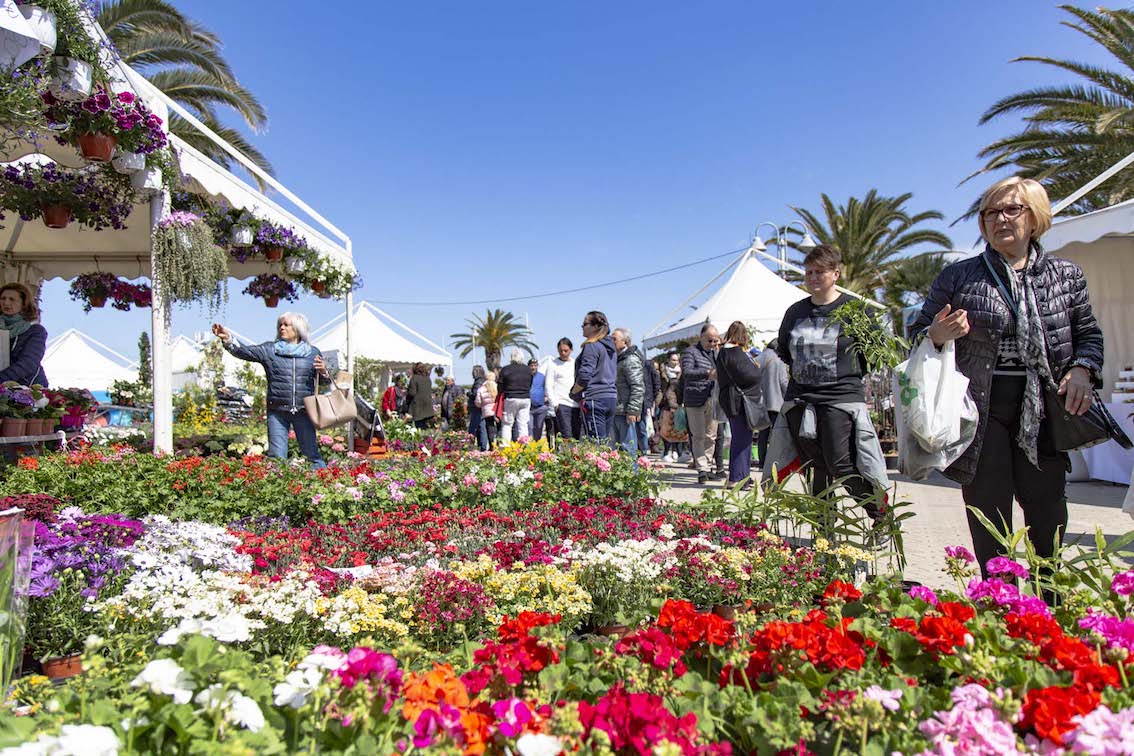 Al porto turistico di Pescara torna la mostra del fiore Florviva: 150 espositori anche dall’estero