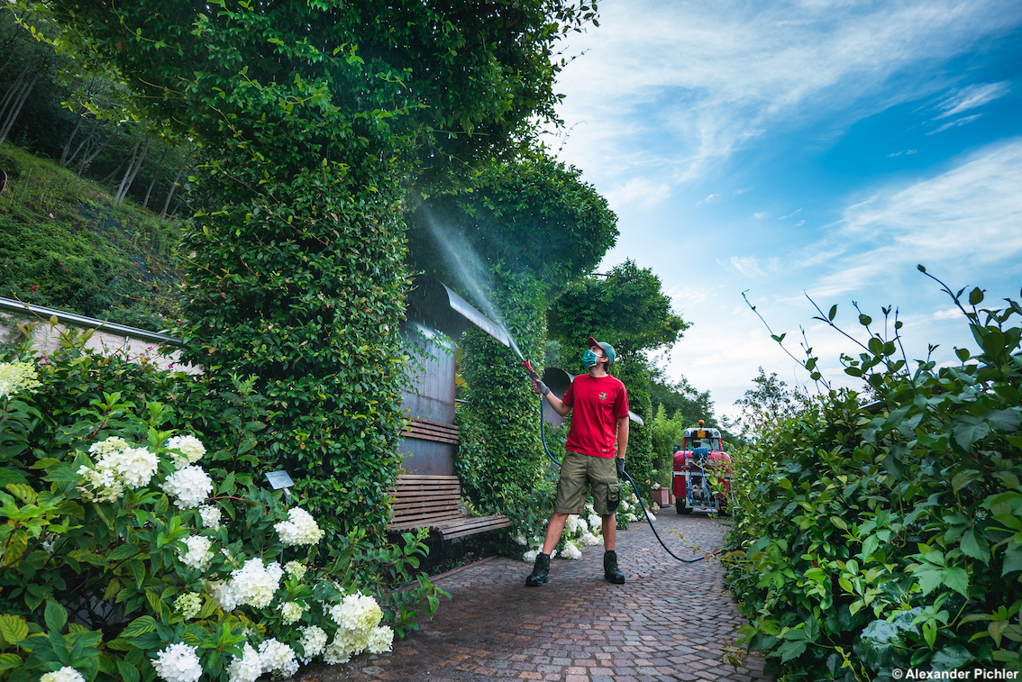 images/stories/varie_2022/GiardiniCastelTrauttmansdorff_01.jpg