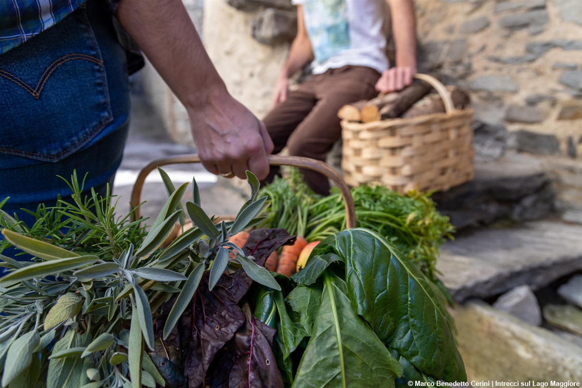 images/stories/varie_2022/IntrecciLagoMaggiore_01.jpg