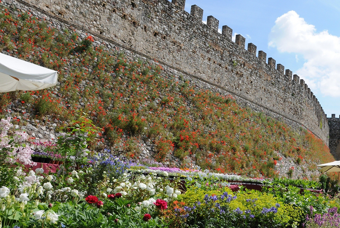 Nella Rocca di Lonato del Garda una raffinata mostra mercato di piante e fiori rari, fra natura, arte e storia