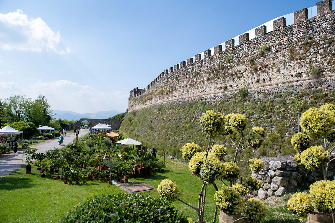 Nella Rocca di Lonato del Garda una raffinata mostra mercato di piante e fiori rari, fra natura, arte e storia