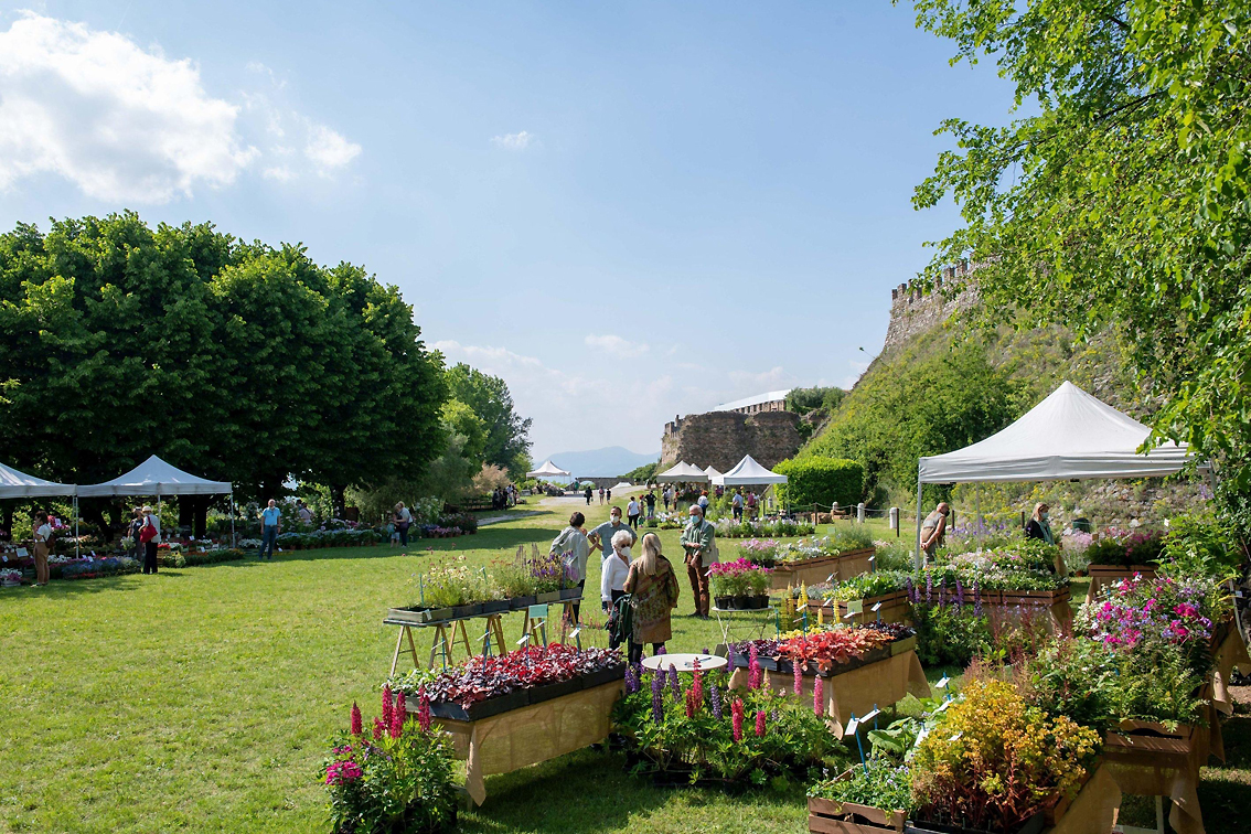 Nella Rocca di Lonato del Garda una raffinata mostra mercato di piante e fiori rari, fra natura, arte e storia