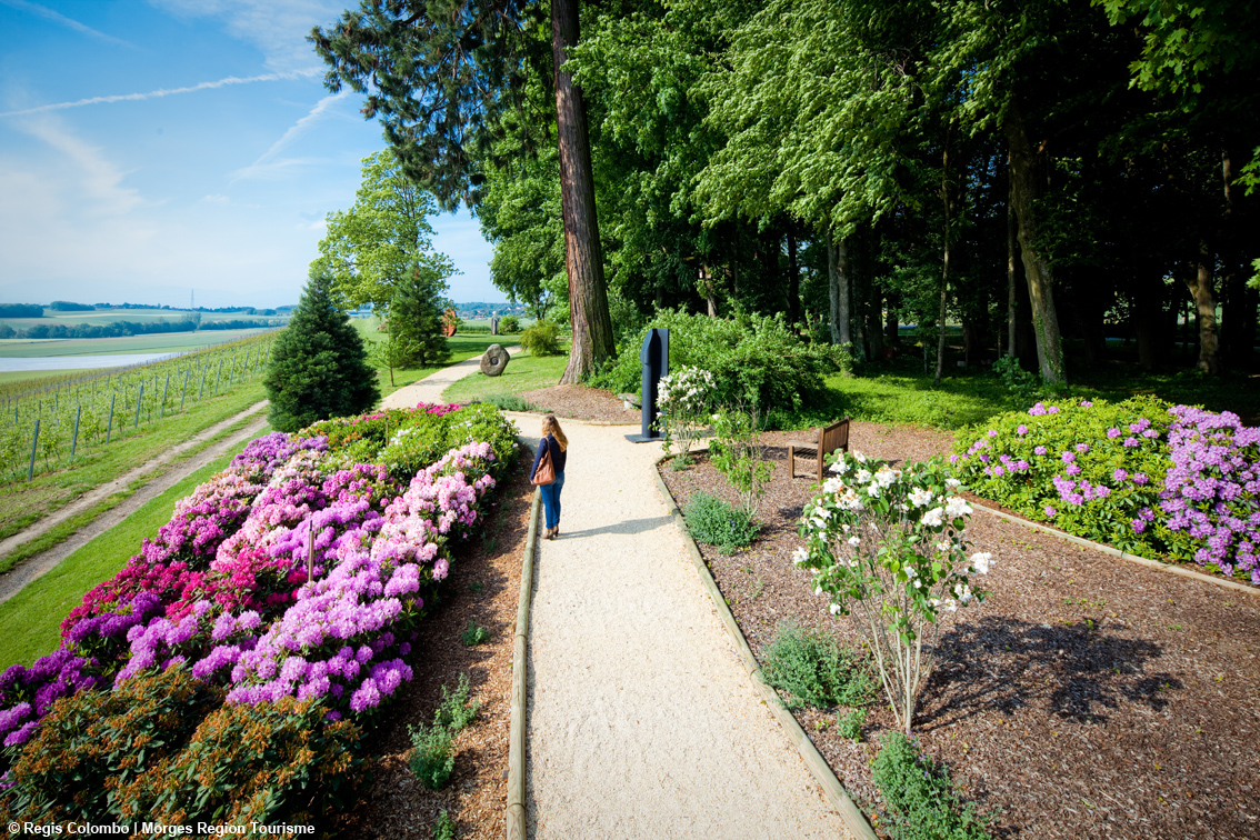 Spettacoli di fiori da non mancare: la Primavera sul Lago di Ginevra regala tappeti profumati e una moltitudine di colori
