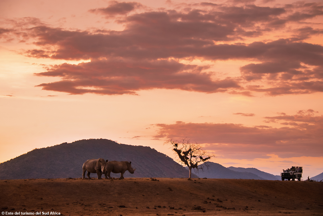 images/stories/varie_2022/Sudafrica_Ssimg_02_Aigo.jpg