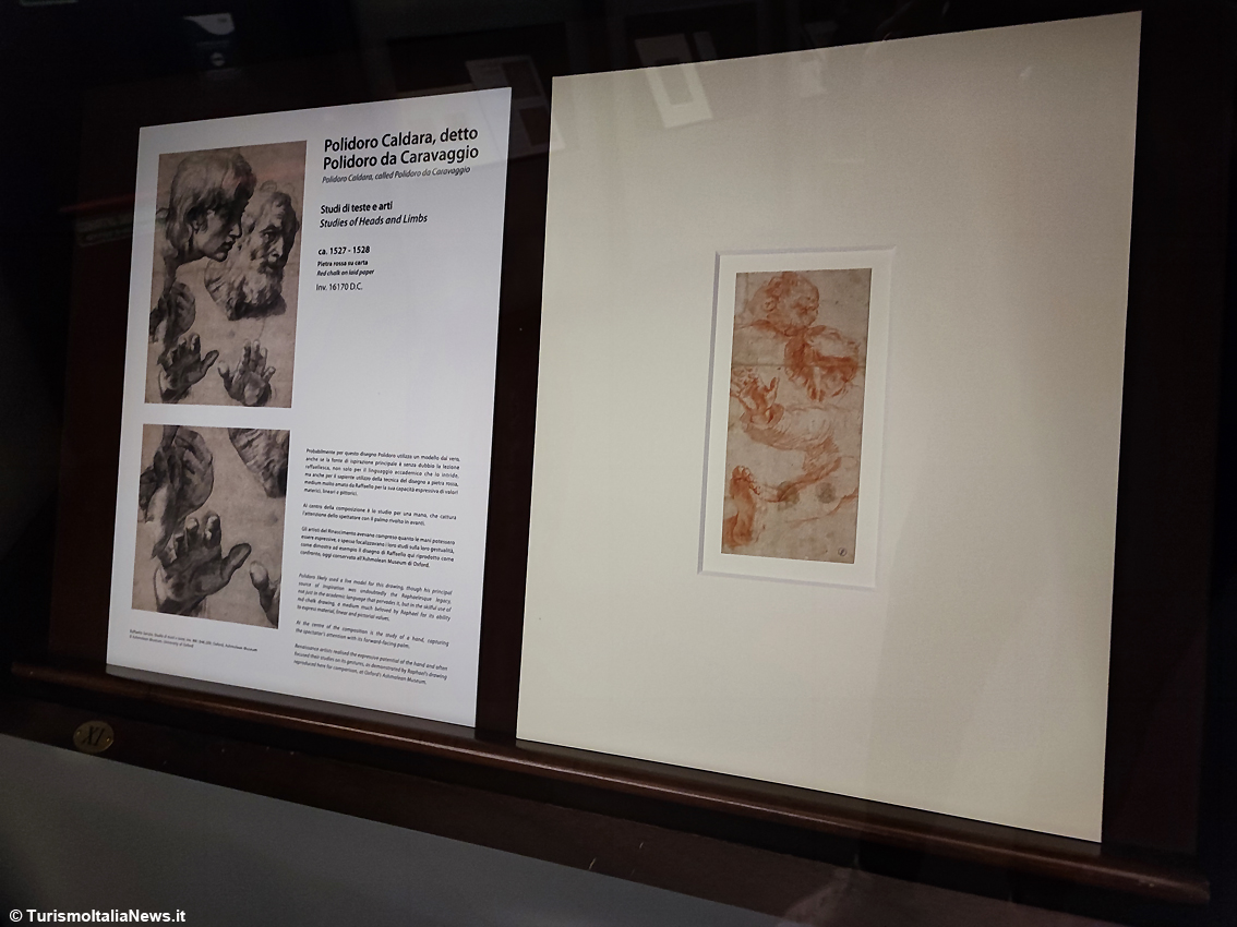 Nel Segno di Raffaello: nella Biblioteca Reale di Torino un viaggio suggestivo nella creatività degli artisti del Rinascimento italiano