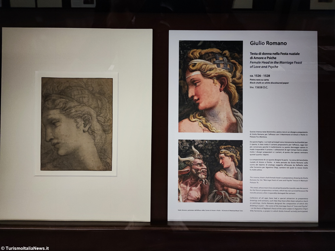 Nel Segno di Raffaello: nella Biblioteca Reale di Torino un viaggio suggestivo nella creatività degli artisti del Rinascimento italiano