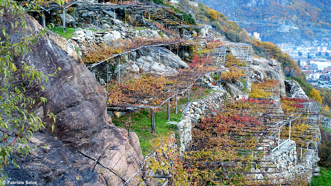 Quelle viti abbracciate dai castelli in Valle d’Aosta: i vini valdostani tra terrazzamenti e tanti giovani