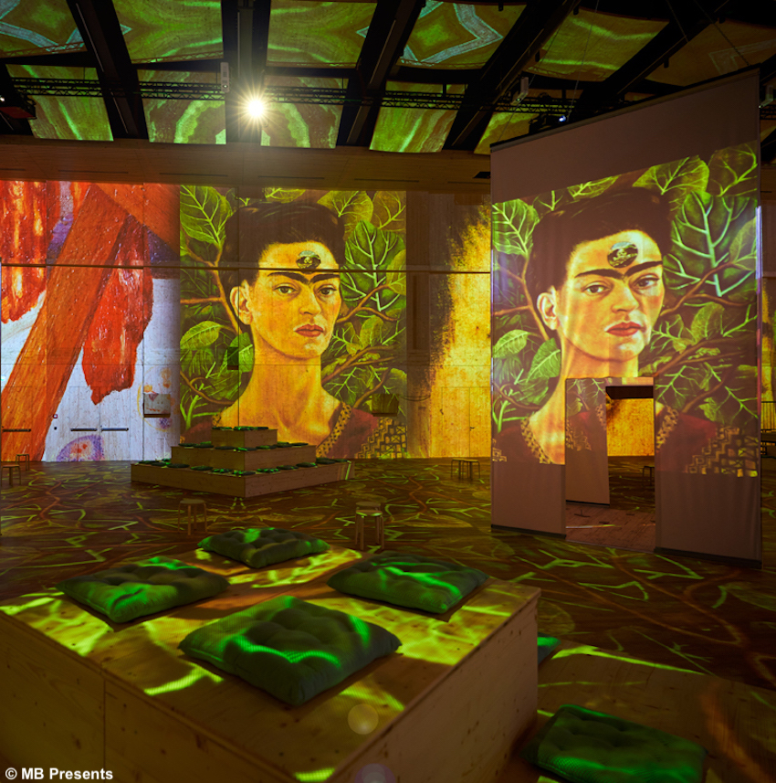 images/stories/varie_2022/VivaFridaKahlo_Bruxelles02.jpg