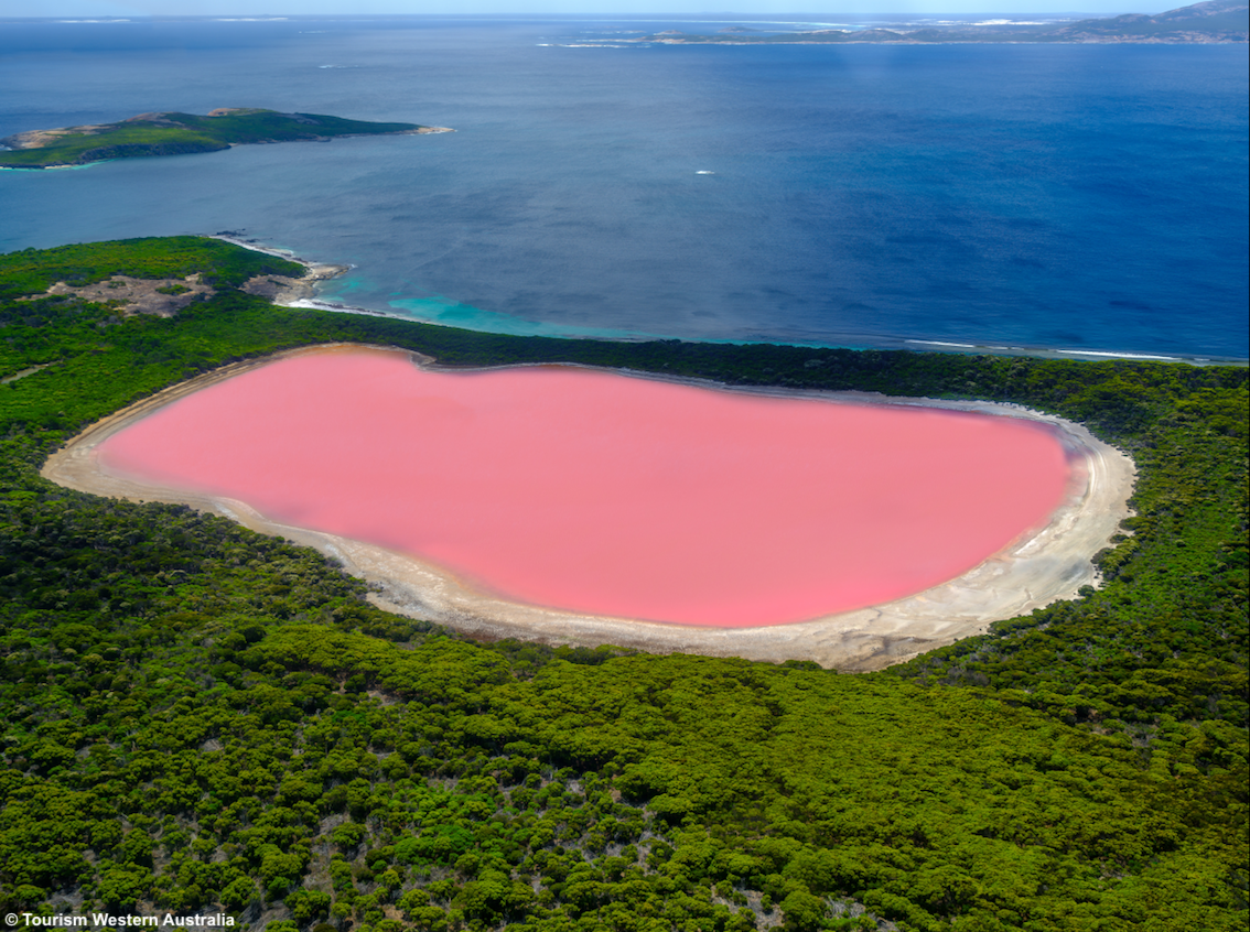 Rosa come... un lago: gli spettacolari laghi rosa del Western Australia