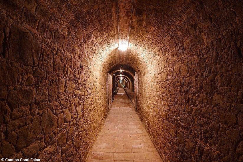 Umbria, sotto il castello di Collelungo le antiche gallerie della Cantina svelano il gustoso mondo dei Conti Faina