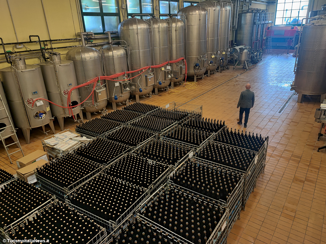 Storie di produttori: a Torre Fornello, sui Colli Piacentini, l’entusiasmo di Enrico Sgorbati conquista al pari della sua Malvasia