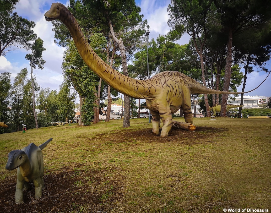 Boom di visitatori al Parco dei Dinosauri di Capaccio Paestum, a migliaia nel primo mese di apertura