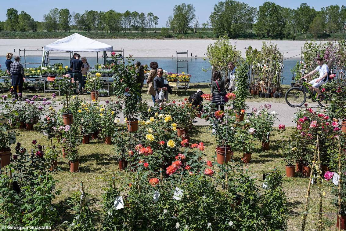 Georgica, a Guastalla la festa della terra, delle acque e del lavoro nei campi: un'immersione nella biodiversità