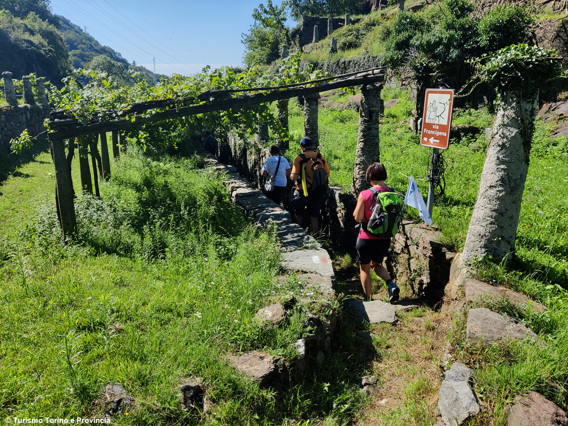 images/stories/varie_2023/InCammino_ViaFrancigena_01.jpg