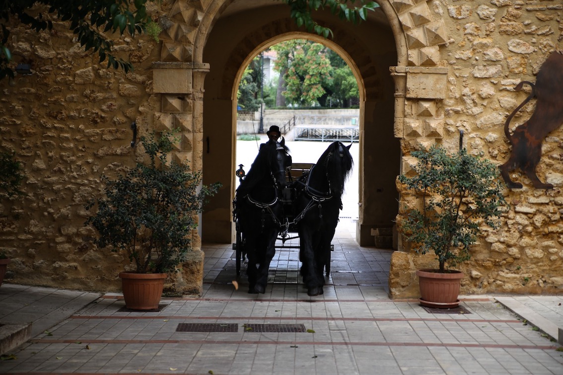 images/stories/varie_2023/PalazzoDiDonnaFugata_Rievocazione_MelinaCavallaro.jpg