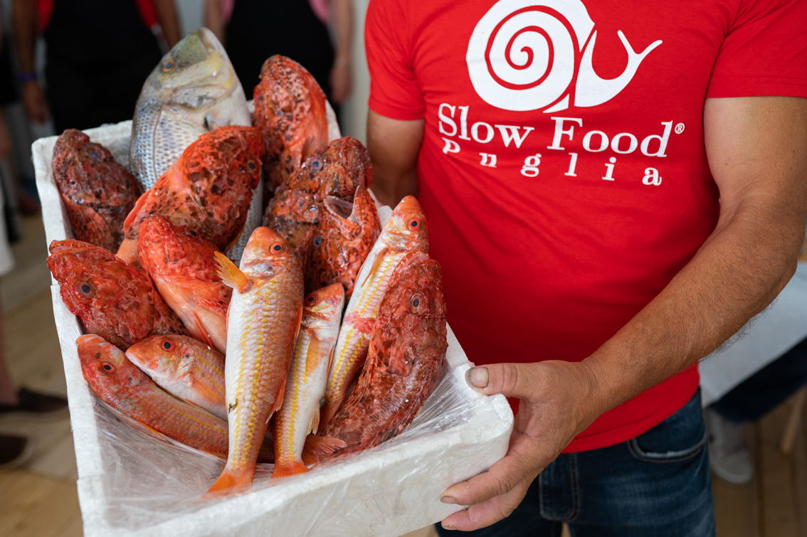 Le 10 cose da fare a Slow Fish 2023: la kermesse di Slow Food e Regione Liguria torna al Porto Antico di Genova
