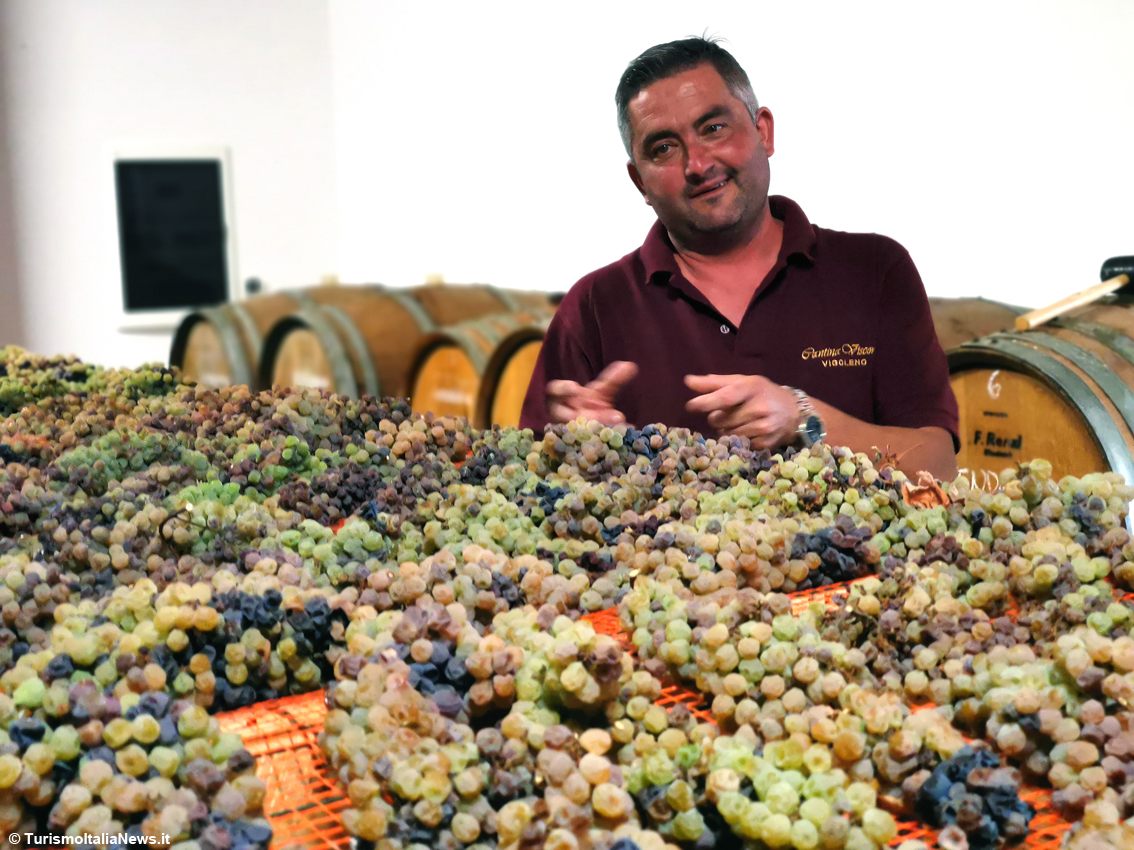 Quando la tradizione si beve: un bicchiere di Vin Santo di Vigoleno Doc racconta territorio, storia, passione e persino qualche leggenda