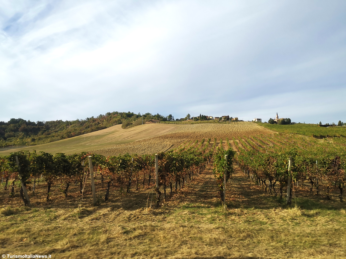 Quando la tradizione si beve: un bicchiere di Vin Santo di Vigoleno Doc racconta territorio, storia, passione e persino qualche leggenda