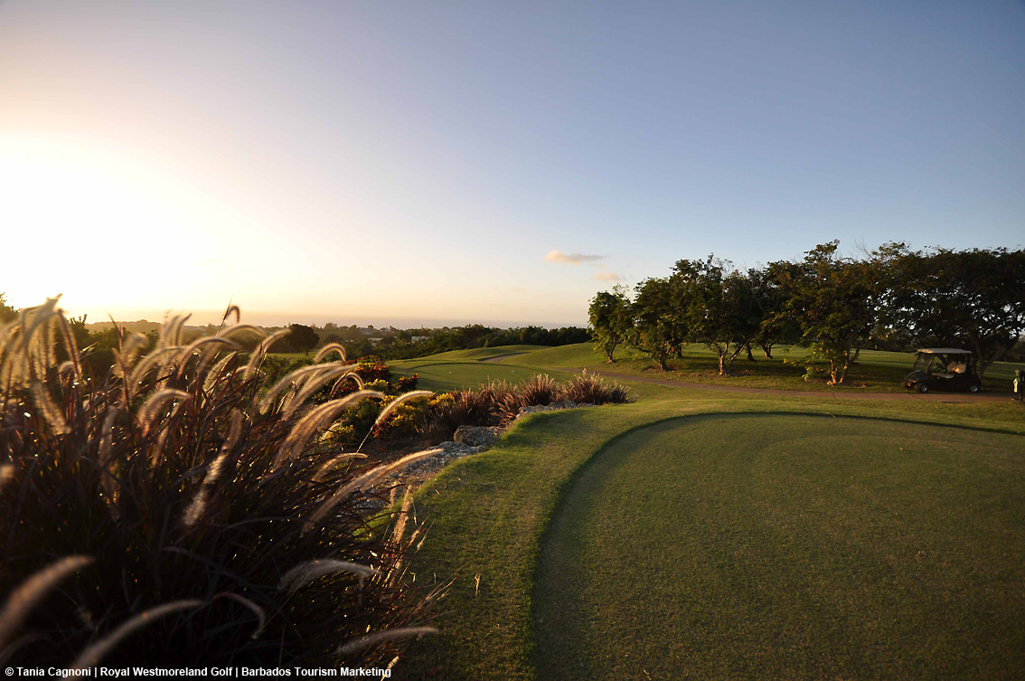 images/stories/varie_2024/Barbados_RoyalWestmorelandGolf_01.jpg