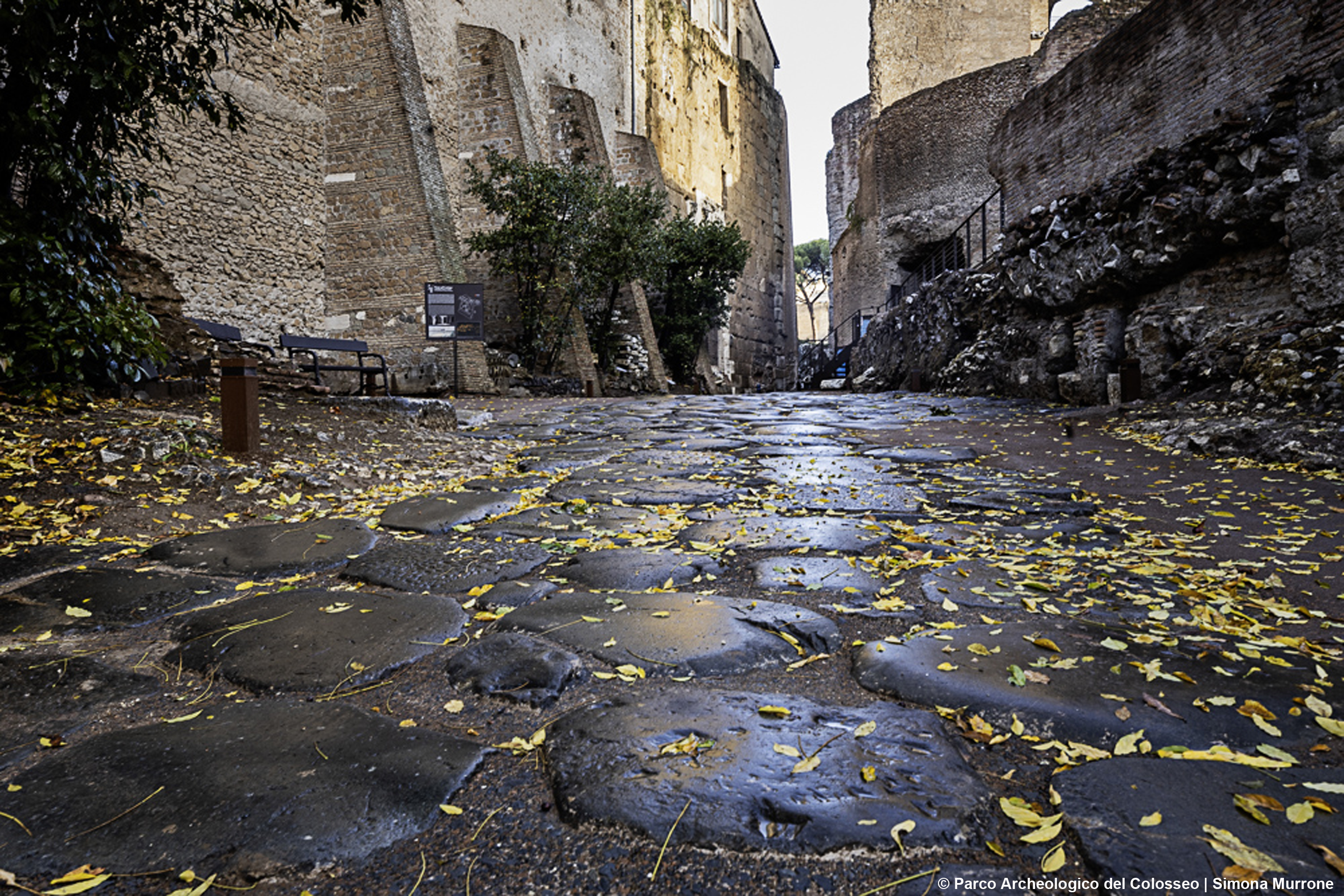 images/stories/varie_2024/HorreaPiperataria_ParcoArcheologicoDelColosseo_01.jpg
