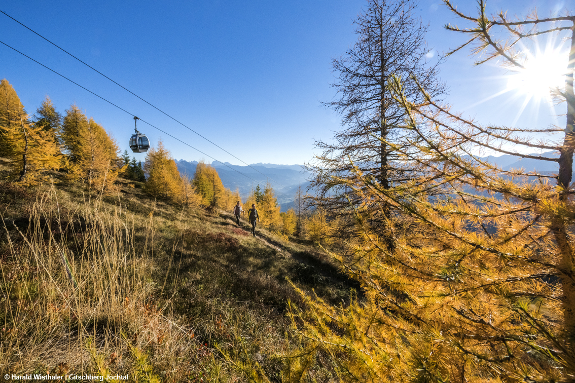 images/stories/varie_2024/StradaForestaleRioDiPusteria_Valles_01.jpg