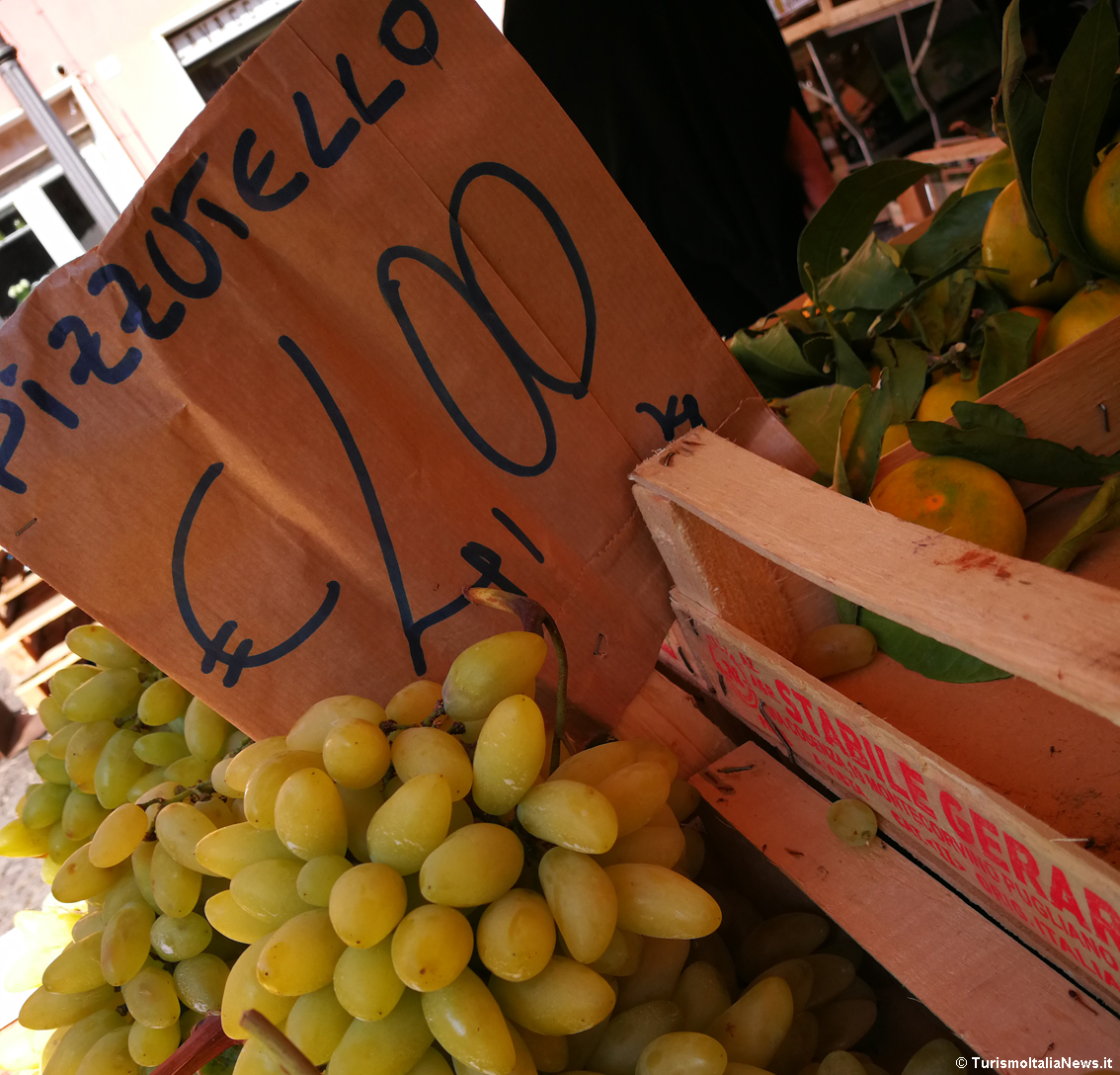 Andiamo, è tempo di Pizzutello: ecco la dolce uva da tavola presidio Slow Food tipico dell’area di Tivoli