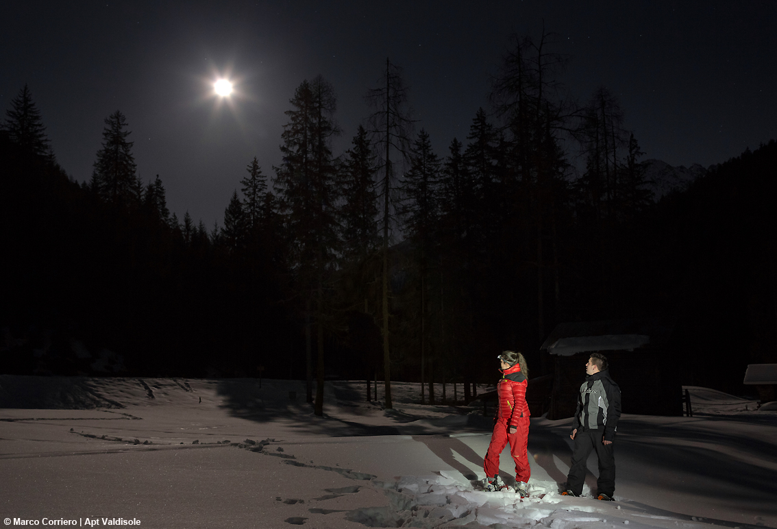 Trentino, un’esperienza tra natura e libertà: “Tutte le stelle nel Parco”, ciaspolate al chiaro di luna in Val di Sole