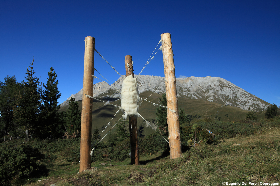 La grande montagna per i piccoli: estate in famiglia sulle Dolomiti, tra i sentieri tematici del Latemarium a Obereggen, in Val D'Ega