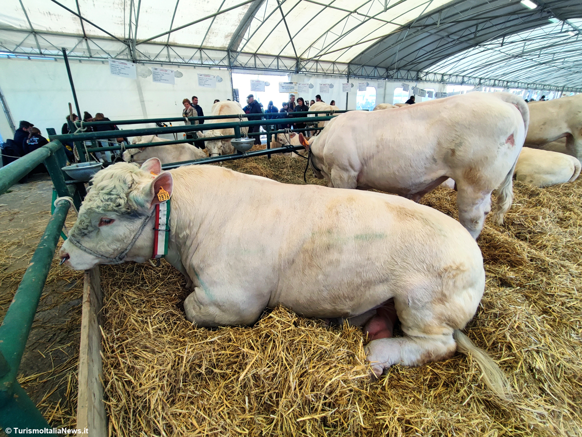 La carica degli 85mila ad Agriumbria 2025: la 56.a edizione fa il pieno di presenze e si conferma evento leader