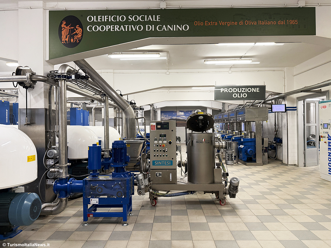 Sessant’anni d’oro verde: il miracolo green e sostenibilità dell’Oleificio Sociale di Canino, cuore pulsante della Tuscia