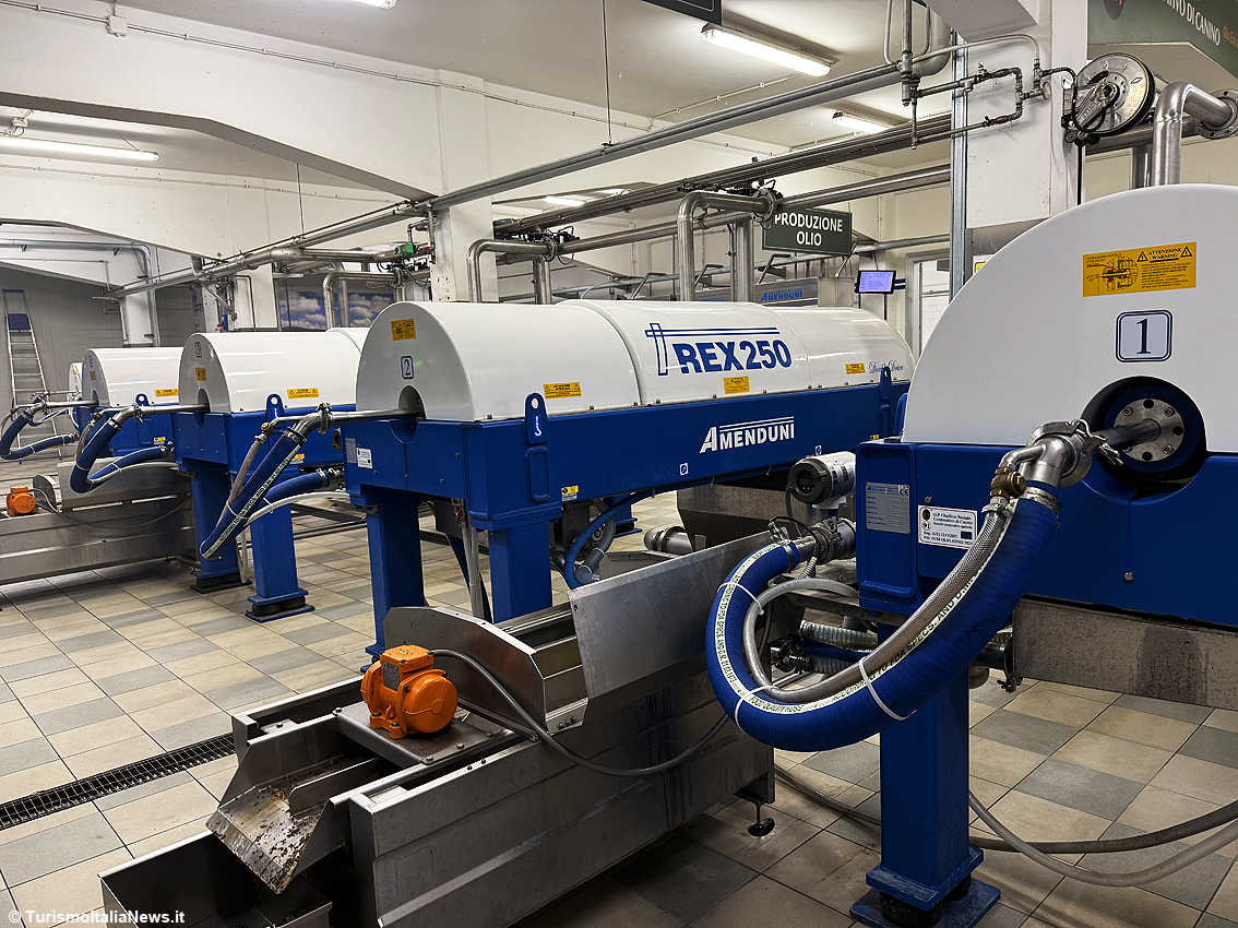 Sessant’anni d’oro verde: il miracolo green e sostenibilità dell’Oleificio Sociale di Canino, cuore pulsante della Tuscia